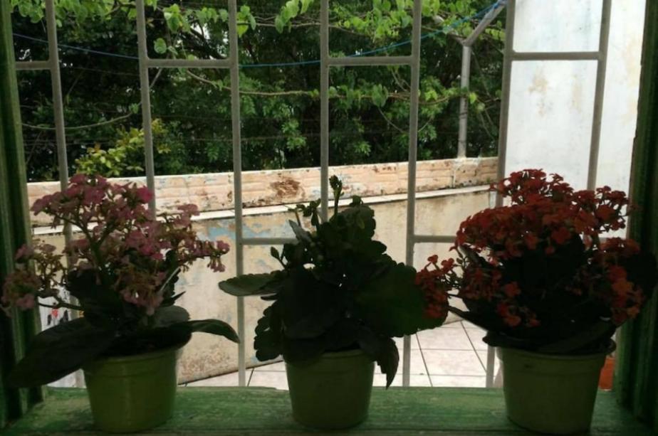 Em Casa Compartilhada Florianópolis